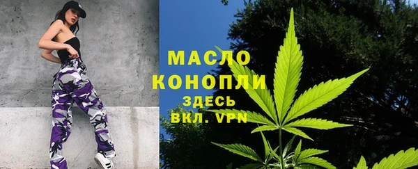 трава Слюдянка
